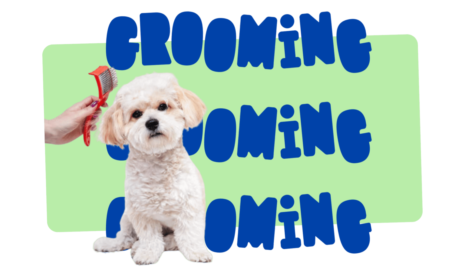 Grooming salon za pse
